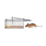 https://velizo.fr/termekkategoria/szepsegapolas-egeszseg/