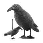https://velizo.fr/termekkategoria/szepsegapolas-egeszseg/