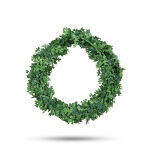 https://velizo.fr/termekkategoria/szepsegapolas-egeszseg/