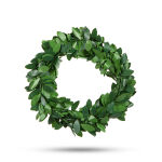 https://velizo.fr/termekkategoria/szepsegapolas-egeszseg/