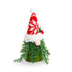 https://velizo.fr/termekkategoria/szepsegapolas-egeszseg/