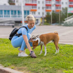 https://velizo.fr/termekkategoria/szepsegapolas-egeszseg/