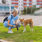 https://velizo.fr/termekkategoria/szepsegapolas-egeszseg/