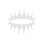https://velizo.fr/termekkategoria/szepsegapolas-egeszseg/