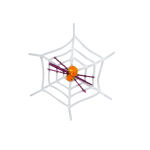 https://velizo.fr/termekkategoria/szepsegapolas-egeszseg/