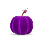 https://velizo.fr/termekkategoria/szepsegapolas-egeszseg/