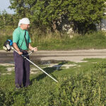 https://velizo.fr/termekkategoria/szepsegapolas-egeszseg/