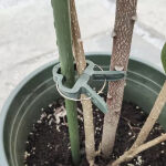 https://velizo.fr/termekkategoria/szepsegapolas-egeszseg/