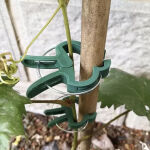 https://velizo.fr/termekkategoria/szepsegapolas-egeszseg/