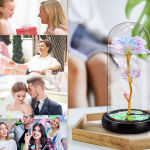 https://velizo.fr/termekkategoria/szepsegapolas-egeszseg/