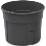 https://velizo.fr/termekkategoria/szepsegapolas-egeszseg/