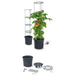 https://velizo.fr/termekkategoria/szepsegapolas-egeszseg/