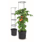 https://velizo.fr/termekkategoria/szepsegapolas-egeszseg/