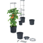 https://velizo.fr/termekkategoria/szepsegapolas-egeszseg/