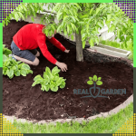 Agrotextile de jardin noir 70 g/m² – 50 m × 1,6 m, protection hivernale des plantes