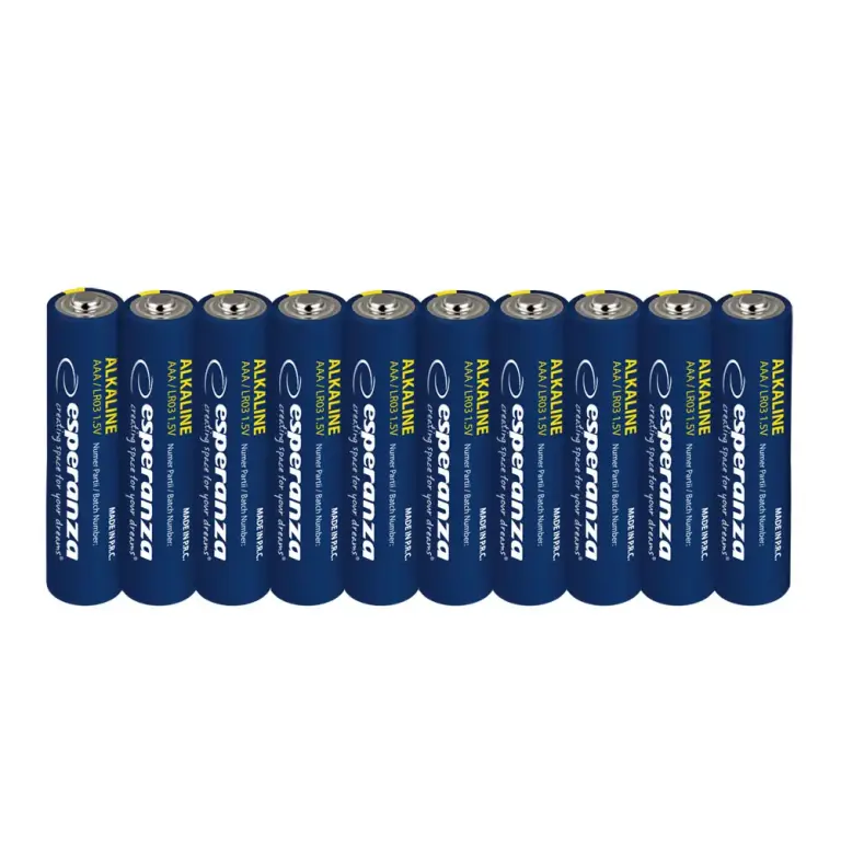 Piles alcalines AAA Esperanza LR03 1,5 V – lot de 10 unités blister