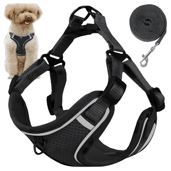 Harnais Réfléchissant Sans Traction pour Petit Chien ou Chat avec Laisse 150 cm