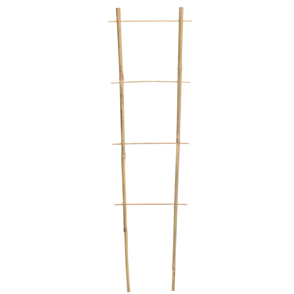Tuteur à Plantes en Bambou 120 cm – Support Naturel pour Plantes et Arbustes