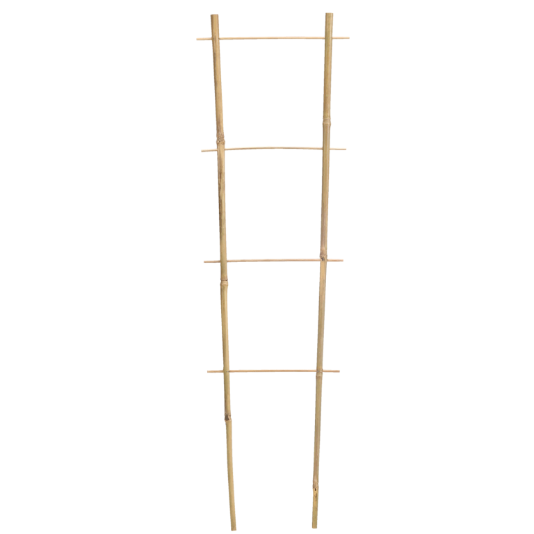 Tuteur à Plantes en Bambou 120 cm – Support Naturel pour Plantes et Arbustes