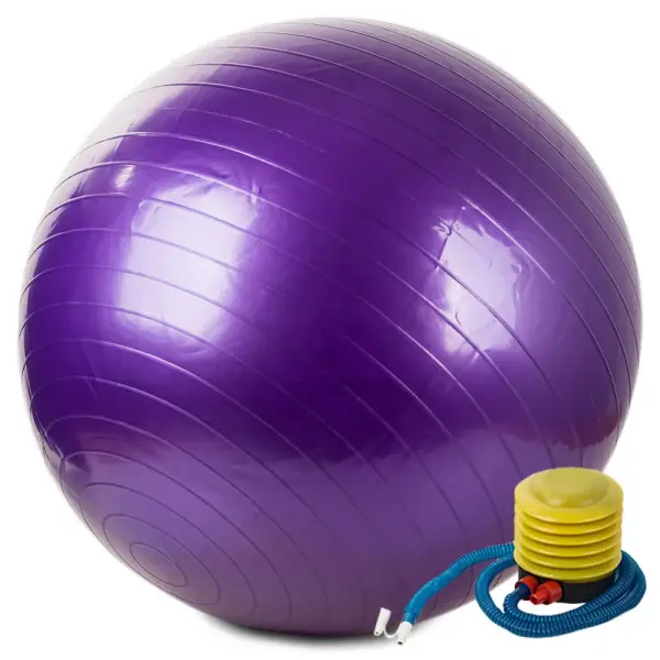 Ballon de gymnastique et de rééducation Ø 65 cm violet avec pompe