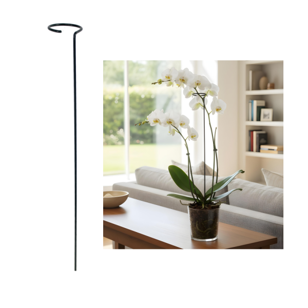 Tuteur pour plantes avec anneau – 35 cm – Acier revêtu de polyéthylène – Vert