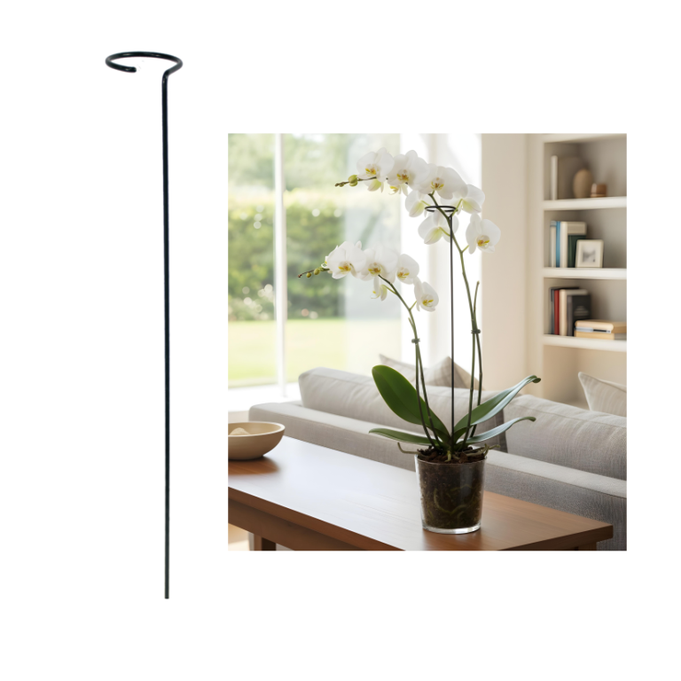 Tuteur pour plantes avec anneau – 35 cm – Acier revêtu de polyéthylène – Vert