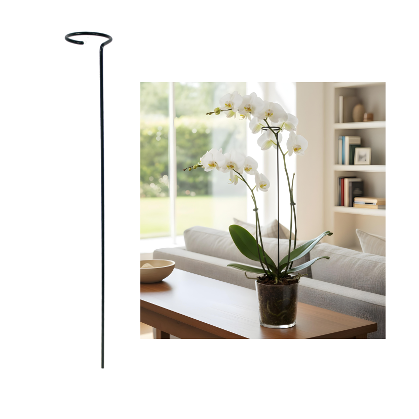 Tuteur pour plantes avec anneau – 35 cm – Acier revêtu de polyéthylène – Vert Tuteur pour plantes avec anneau – 35 cm – Acier revêtu de polyéthylène – Vert