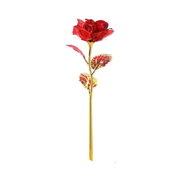 Rose éternelle rouge dans un coffret cadeau élégant