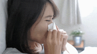 Purificateur d'air Bora avec filtre HEPA