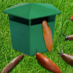https://velizo.fr/termekkategoria/szepsegapolas-egeszseg/