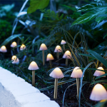 https://velizo.fr/termekkategoria/szepsegapolas-egeszseg/